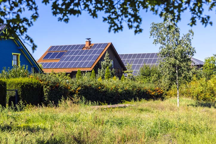 Solar Panels for Sustainable Energy Solutions